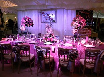 Vivianne Decor Nunta Bacau