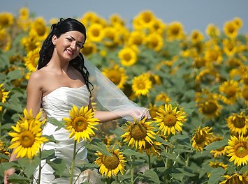 Foto Studio Enigma Nunta Bacau