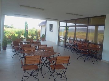 Pensiunea Balta Albastra Nunta Bacau
